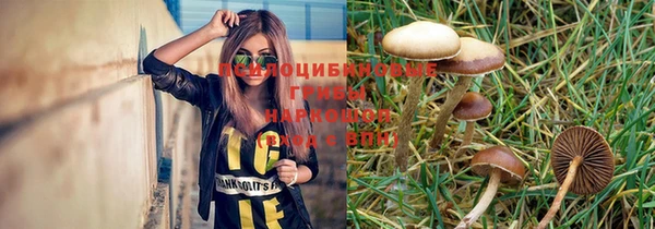дурь Беломорск