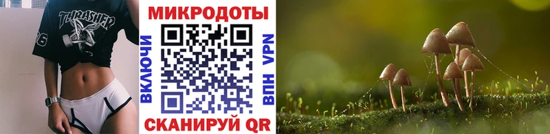 Галлюциногенные грибы Cubensis  где можно купить   Кашин 