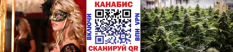 Каннабис Amnesia  нарко площадка клад  Кашин  купить закладку 